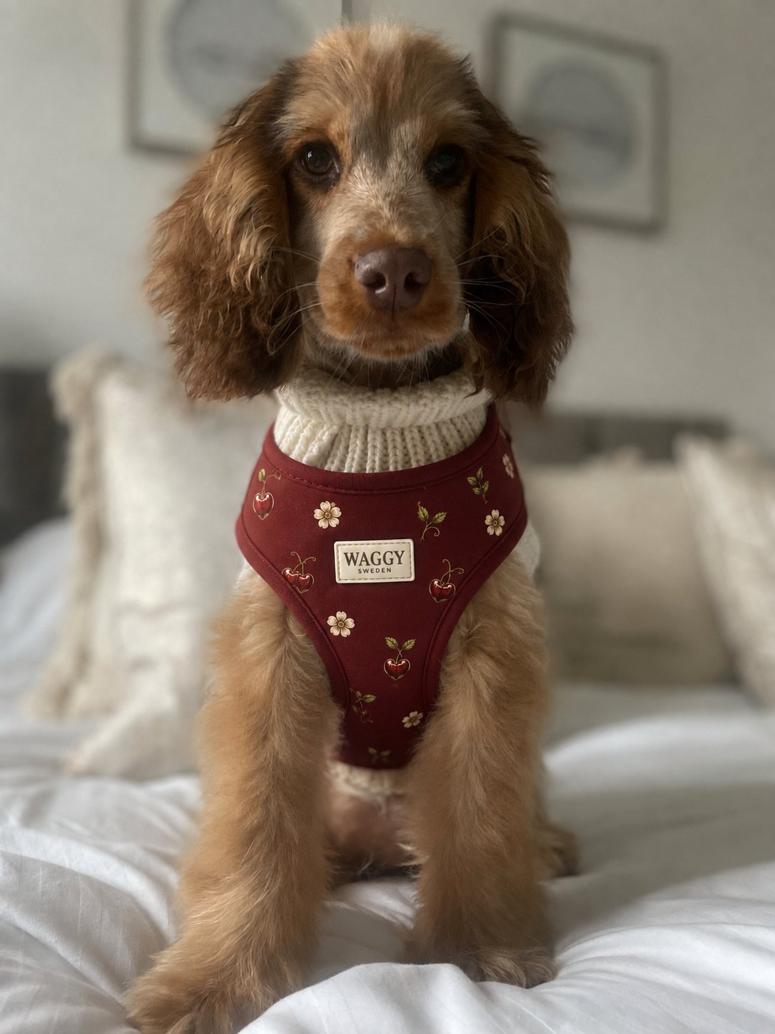 WAGGY Sweden